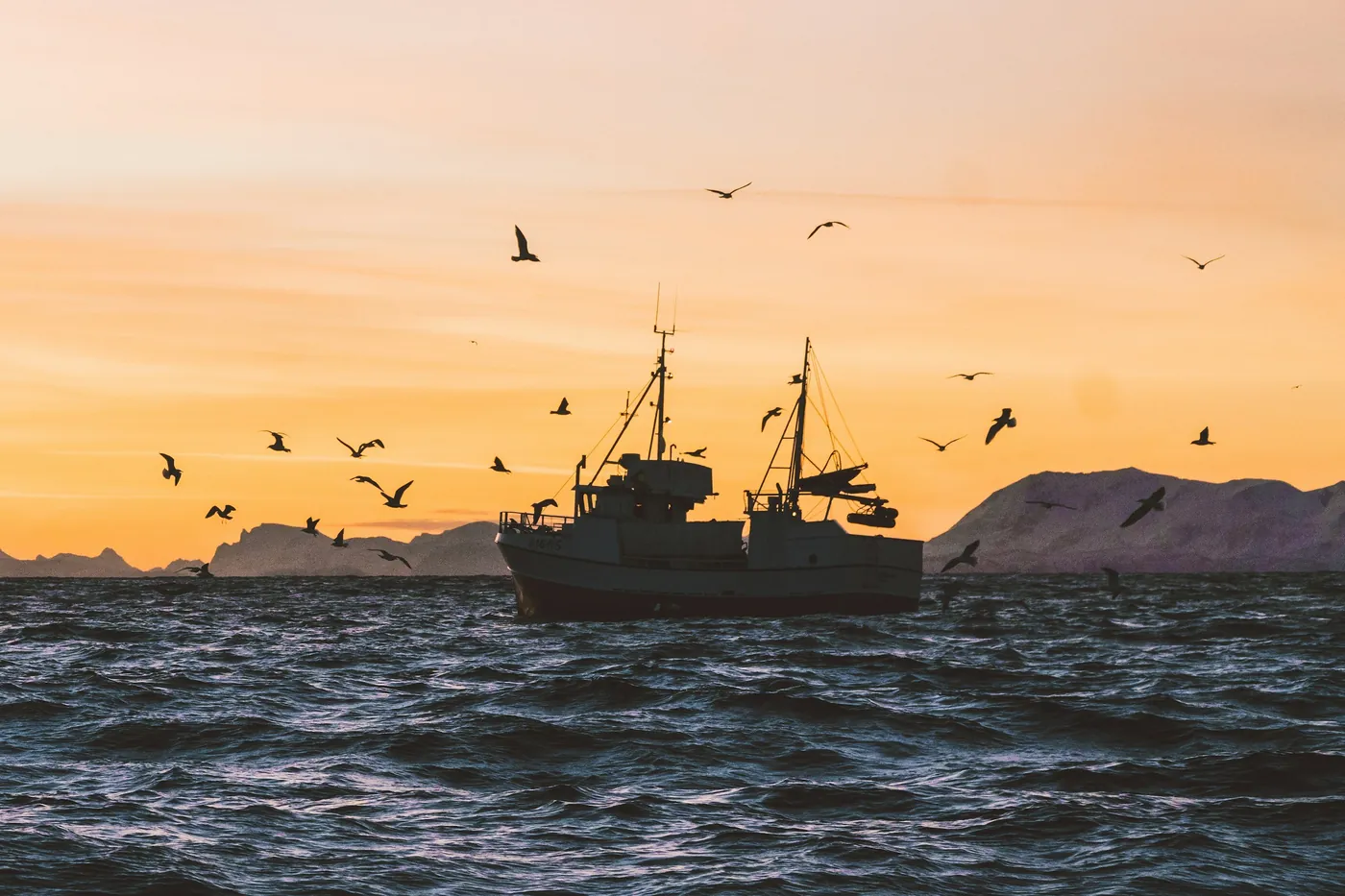 Bateau de pêche en silhouette sur une mer agitée au coucher du soleil, avec des mouettes qui tournoient