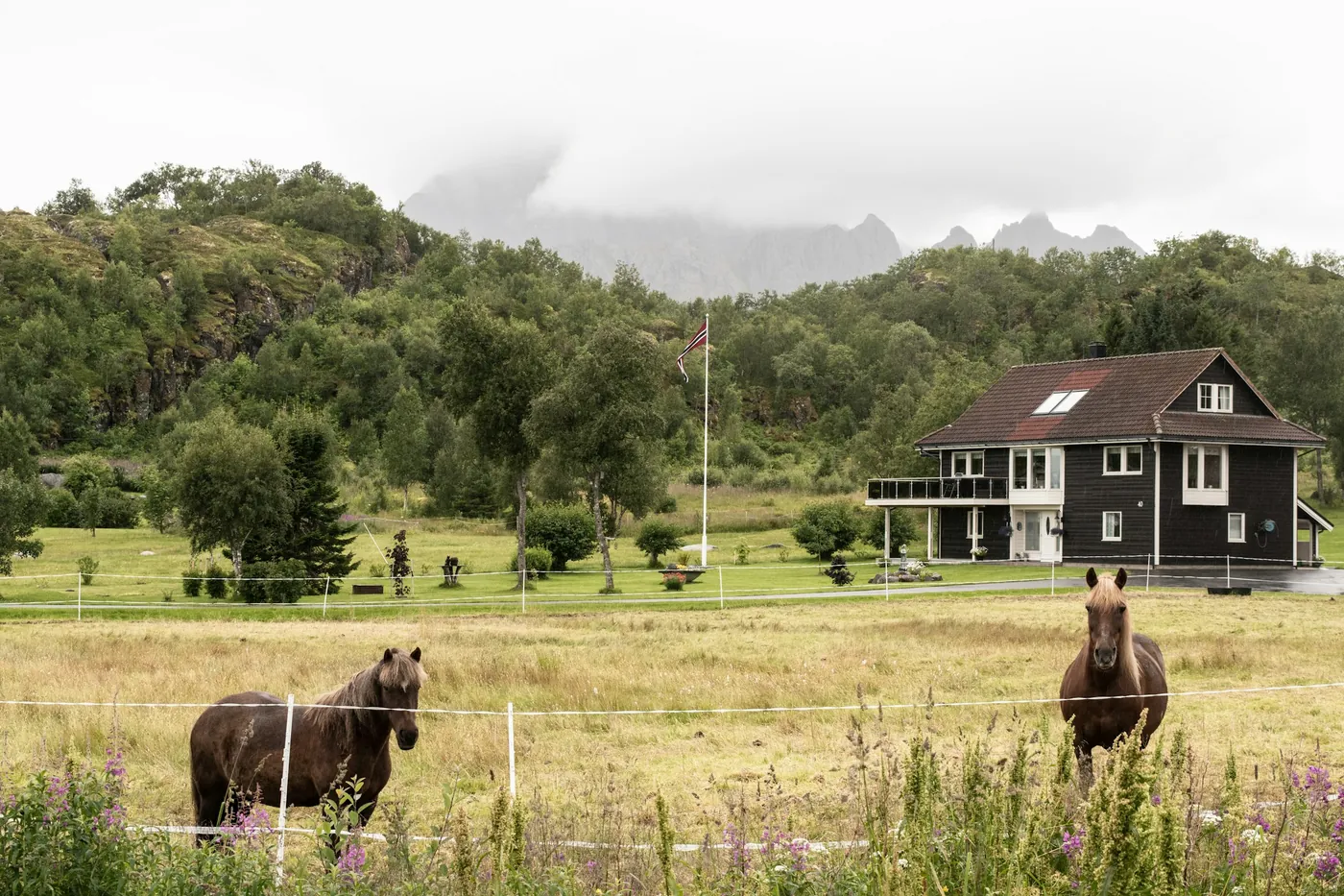 Deux chevaux dans un pré clôturé devant une maison en bois sombre et des collines vertes